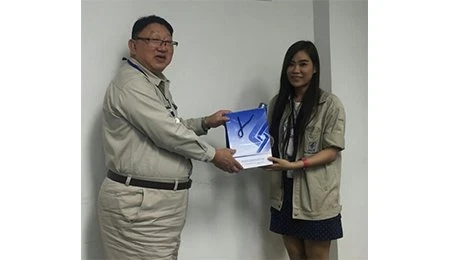 “HSE Delivery” activity