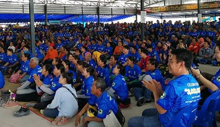 Arranged the Celebration