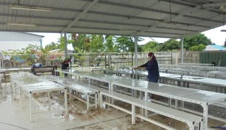 “Canteen & Road Cleaning”