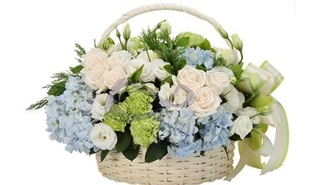 Welfares to Employee in August – September 2021