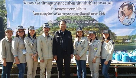 Conserve and Mangrove Forests in Rayong