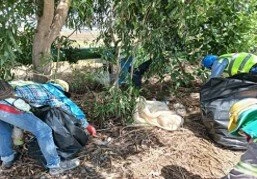 COVER CANVAS OF TRUCK